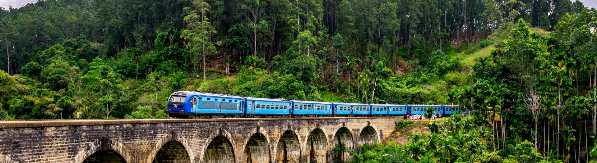 L'essentiel du Sri Lanka en train